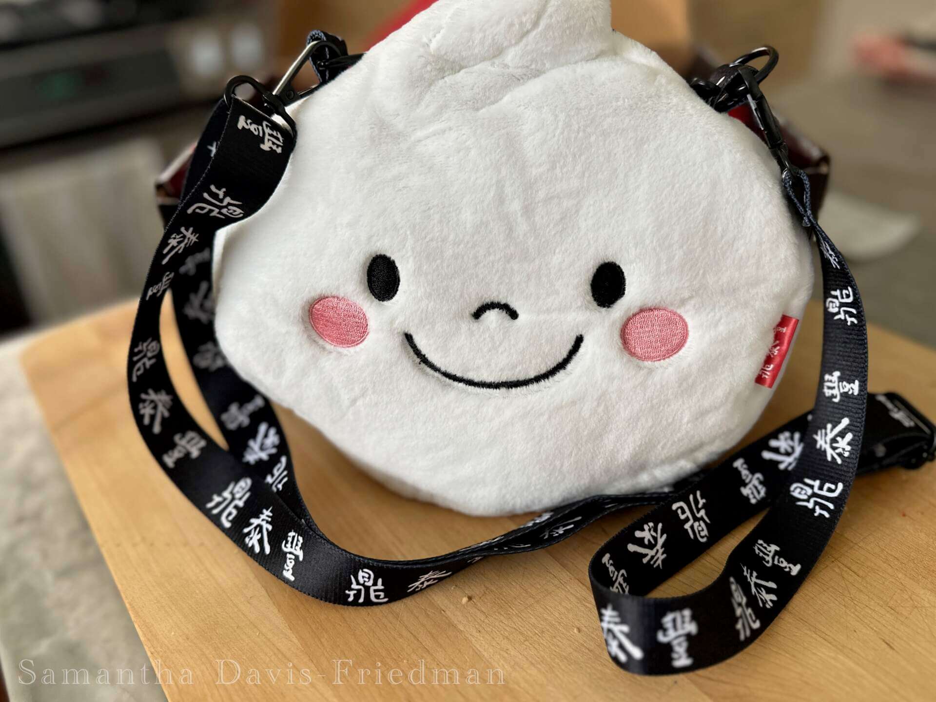 Din Tai Fung plush purse