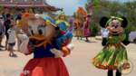 Disney Lookout Point Daisy Minnie Junkanoo