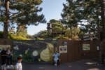 Disneyland Critter Country Tianas Bayou Adventure construction DSC_3132-X5