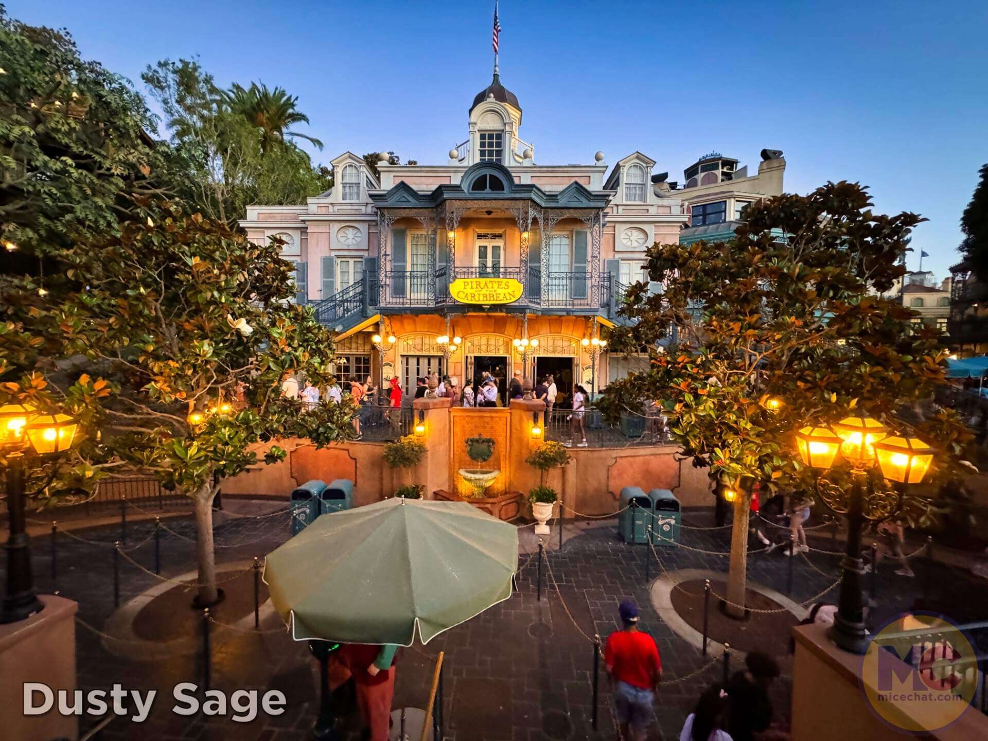, DISNEYLAND UPDATE: Crowd Collapse, Oogie Observations & A Splashtacular Surprise