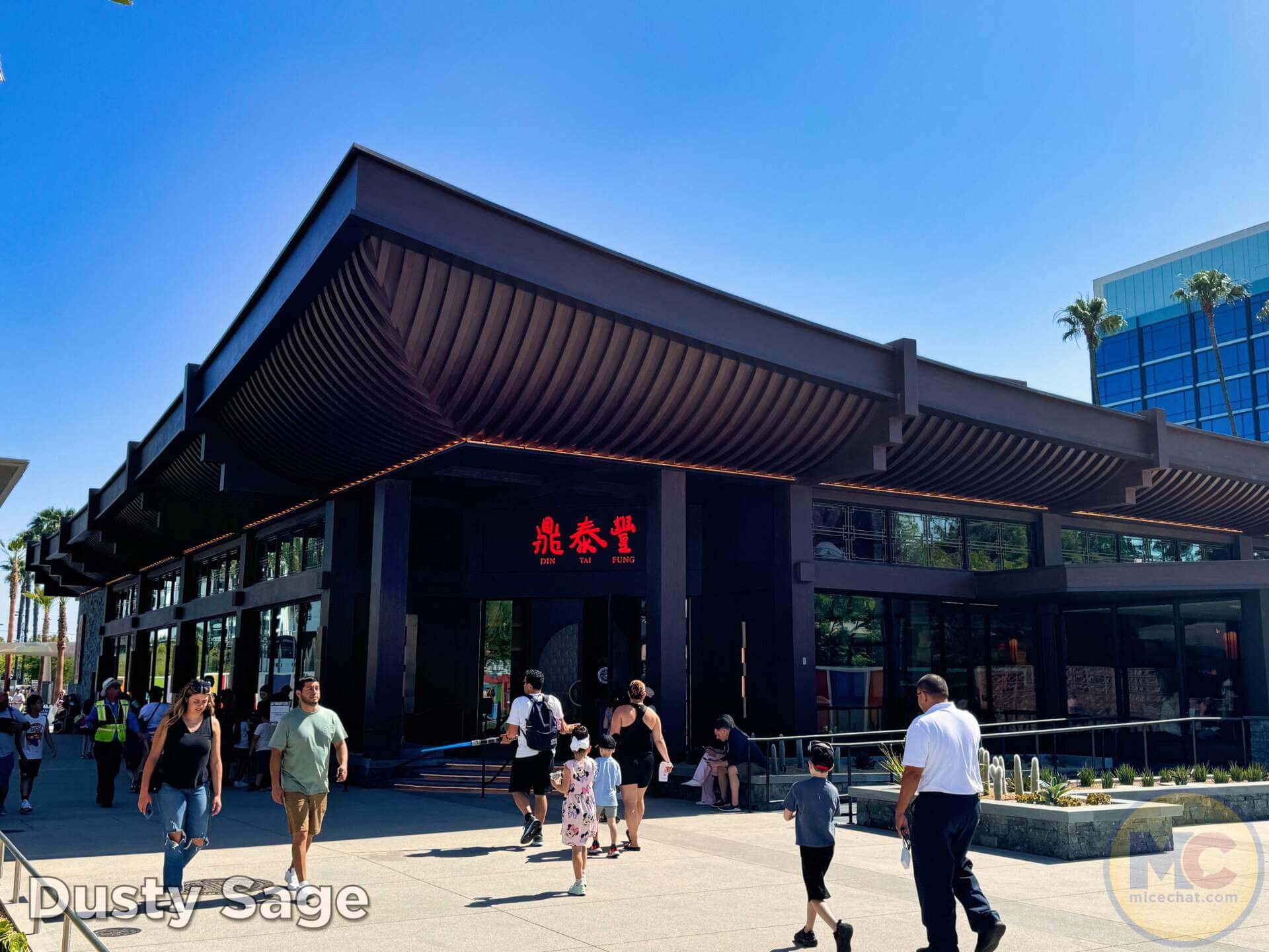 , DISNEYLAND UPDATE: Crowd Collapse, Oogie Observations & A Splashtacular Surprise
