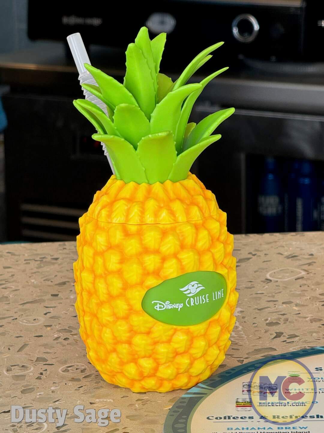 Lookout Cay, Look at Lookout Cay – A Guide to Disney’s New Tropical Island Destination!