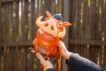 Lion-King-30-PumbaaPopcornBucket-1024×683 (1)