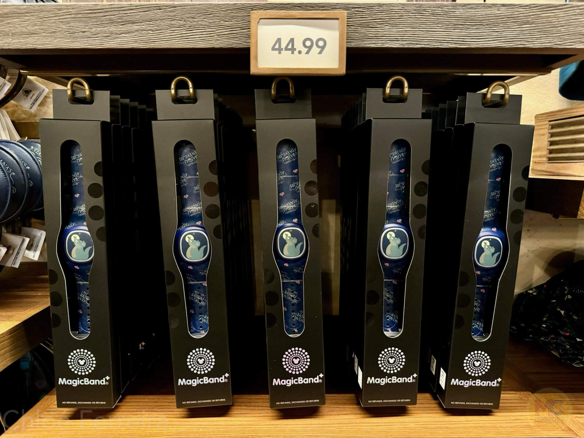 Tiana's Bayou Adventure merchandise, UPDATED! Tiana’s Bayou Adventure Merchandise Guide – Shop ’til the Drop!
