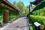 Mike Kindrich_MiceChat.com_Disney California Adventure_DVC Welcome Home Center_The Golden Vine (1 of 1)-3