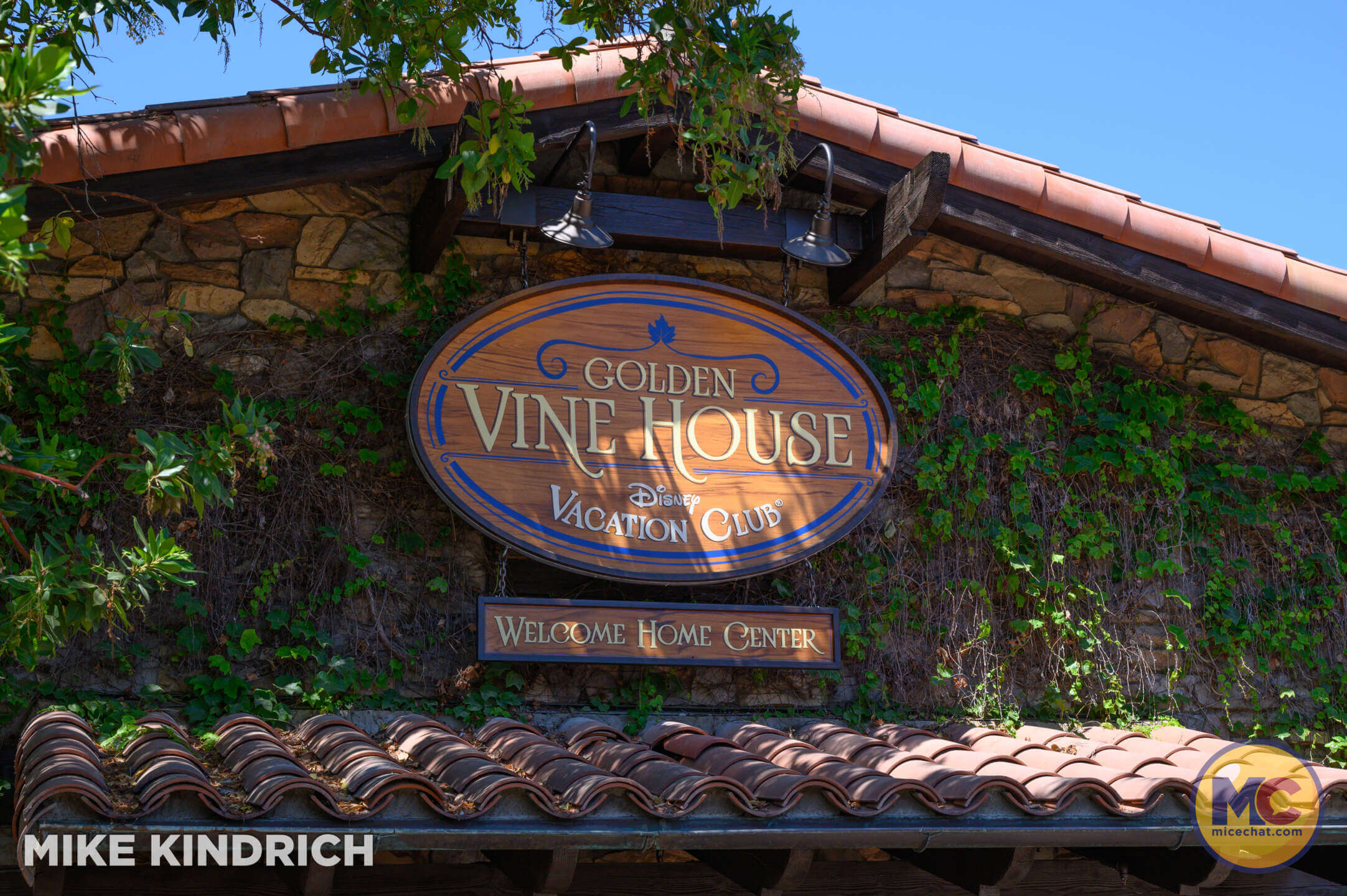 , DISNEYLAND UPDATE: Maintenance Boo-Hoos, Strike in View, Country Bear Barbecue