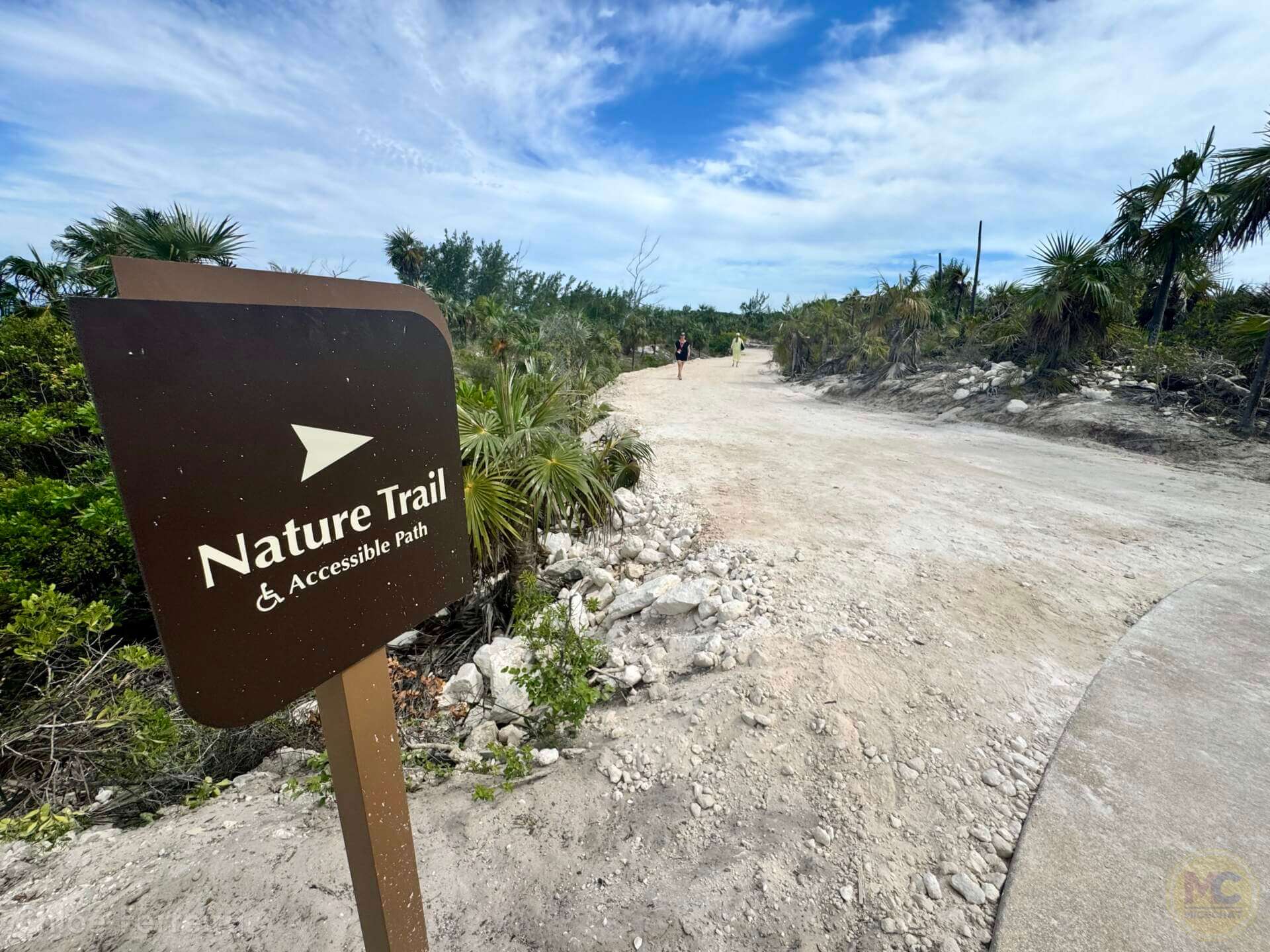 Lookout Cay, Look at Lookout Cay – A Guide to Disney’s New Tropical Island Destination!