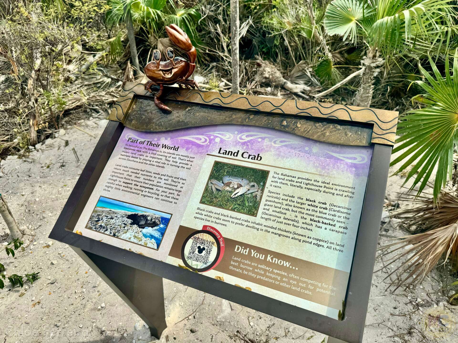Lookout Cay, Look at Lookout Cay – A Guide to Disney’s New Tropical Island Destination!