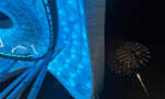 TRON Lightcycle / Run WDW