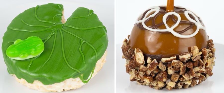 Tiana's Bayou Adventure Food Guide WDW