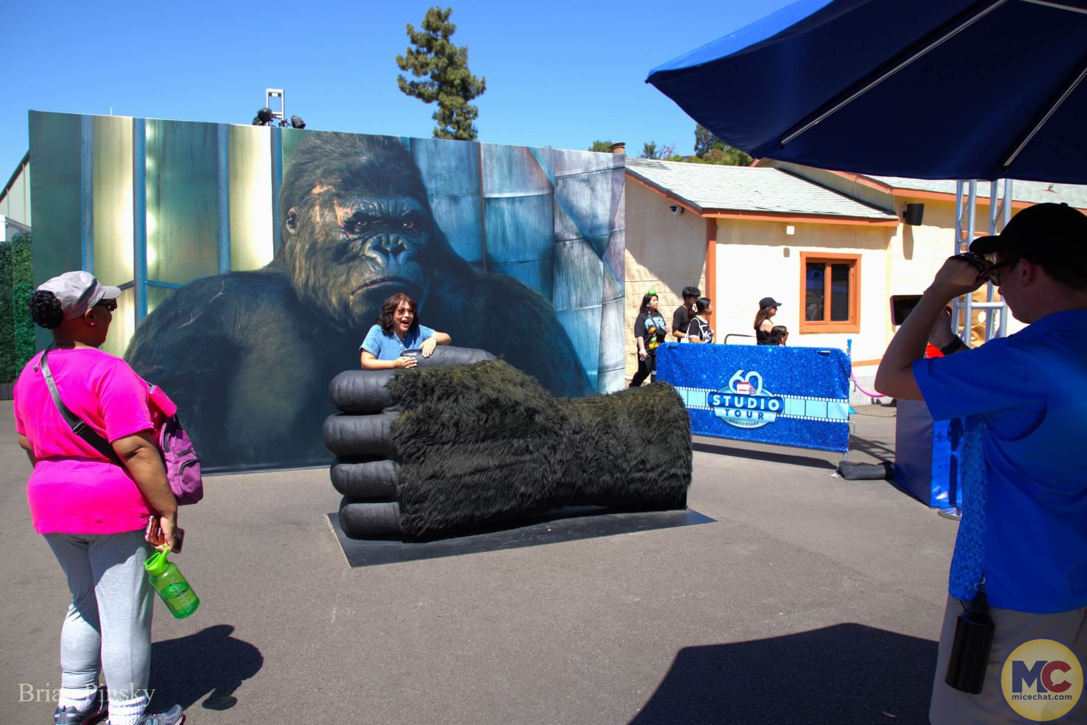 Universal Hollywood, Uni Hollywood News: Back to Hogwarts, Coaster Construction & Halloween Screams