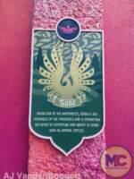 Busch Gardens Tampa Phoenix Rising 11