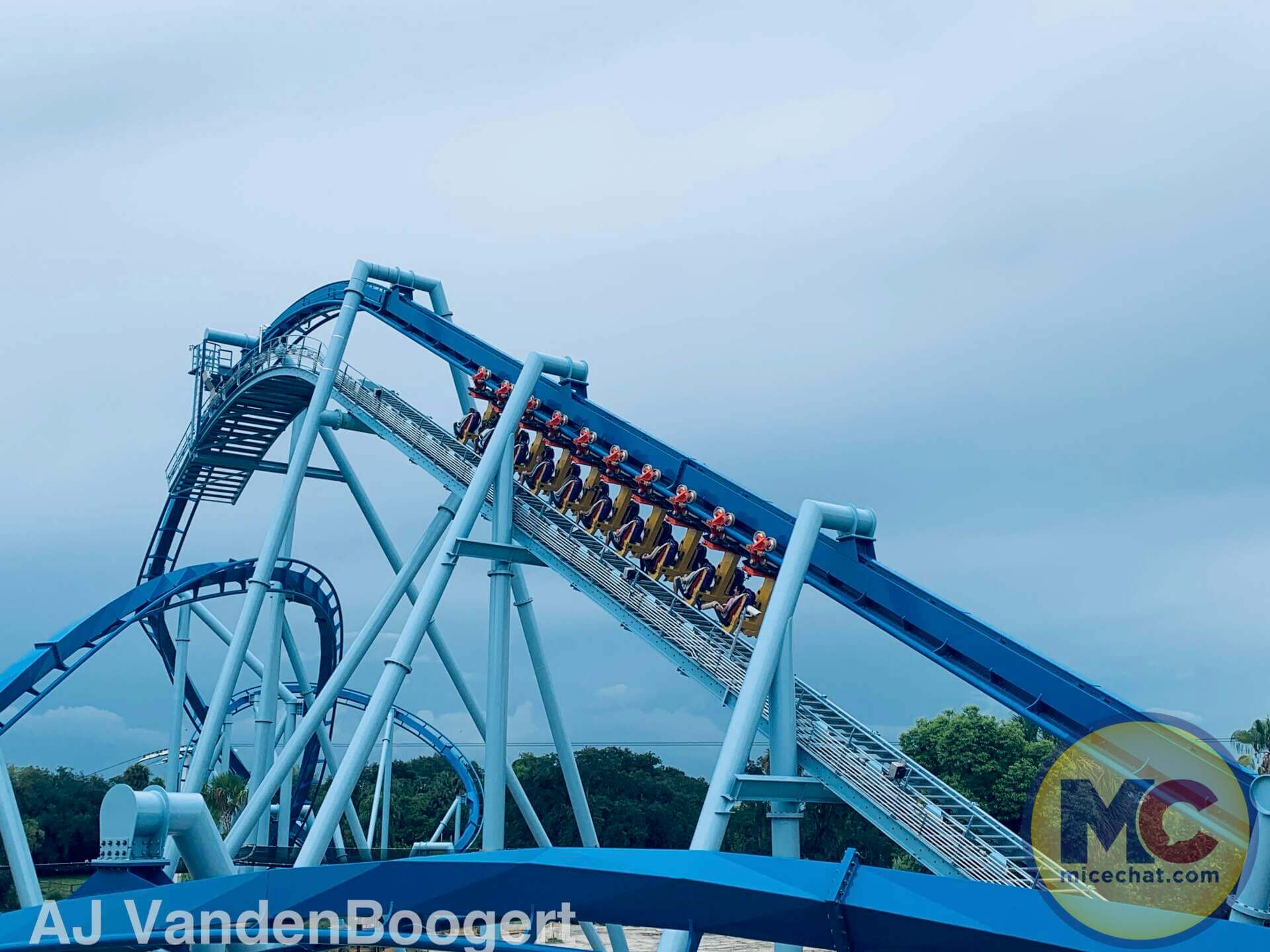 Phoenix Rising, NEW Phoenix Rising Coaster Soars at Busch Gardens Tampa!