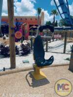 Busch Gardens Tampa Phoenix Rising 6
