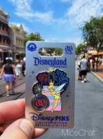 Disneyland 69 pin