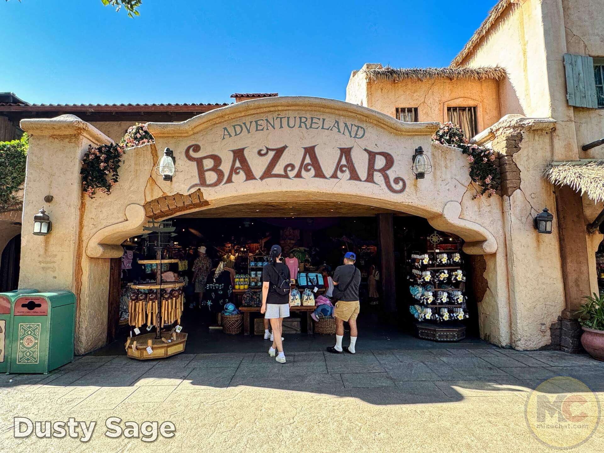 , DISNEYLAND UPDATE: Maintenance Boo-Hoos, Strike in View, Country Bear Barbecue
