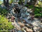 Disneyland-News-Blues Tom Sawyer Island dried streams- MiceChat