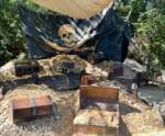 Disneyland-News-Blues Tom Sawyer Island treasure- MiceChat