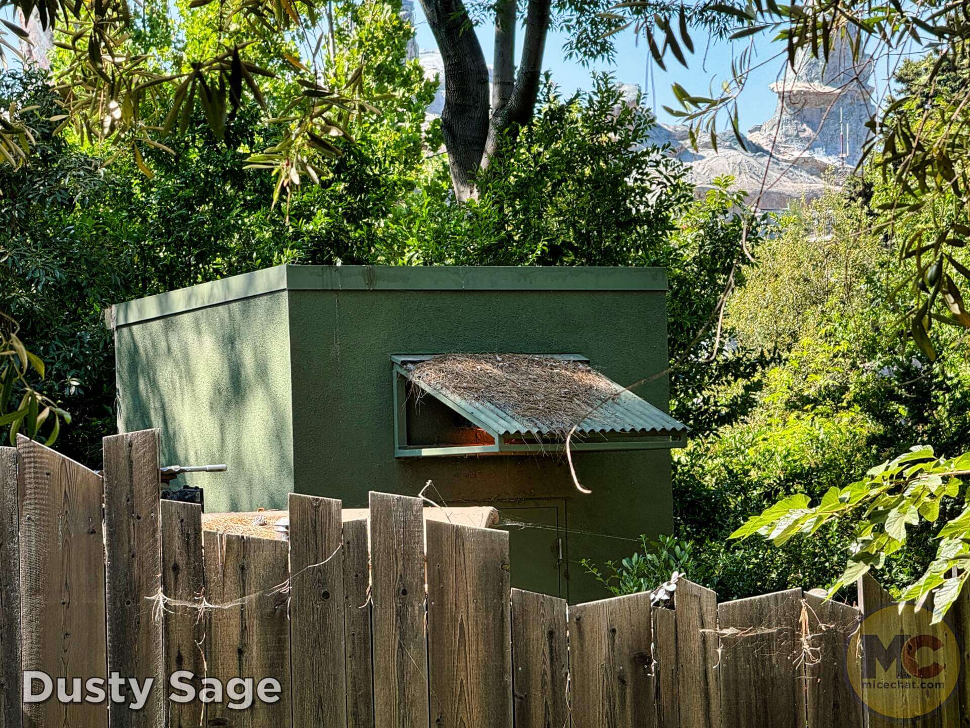, DISNEYLAND UPDATE: Maintenance Boo-Hoos, Strike in View, Country Bear Barbecue