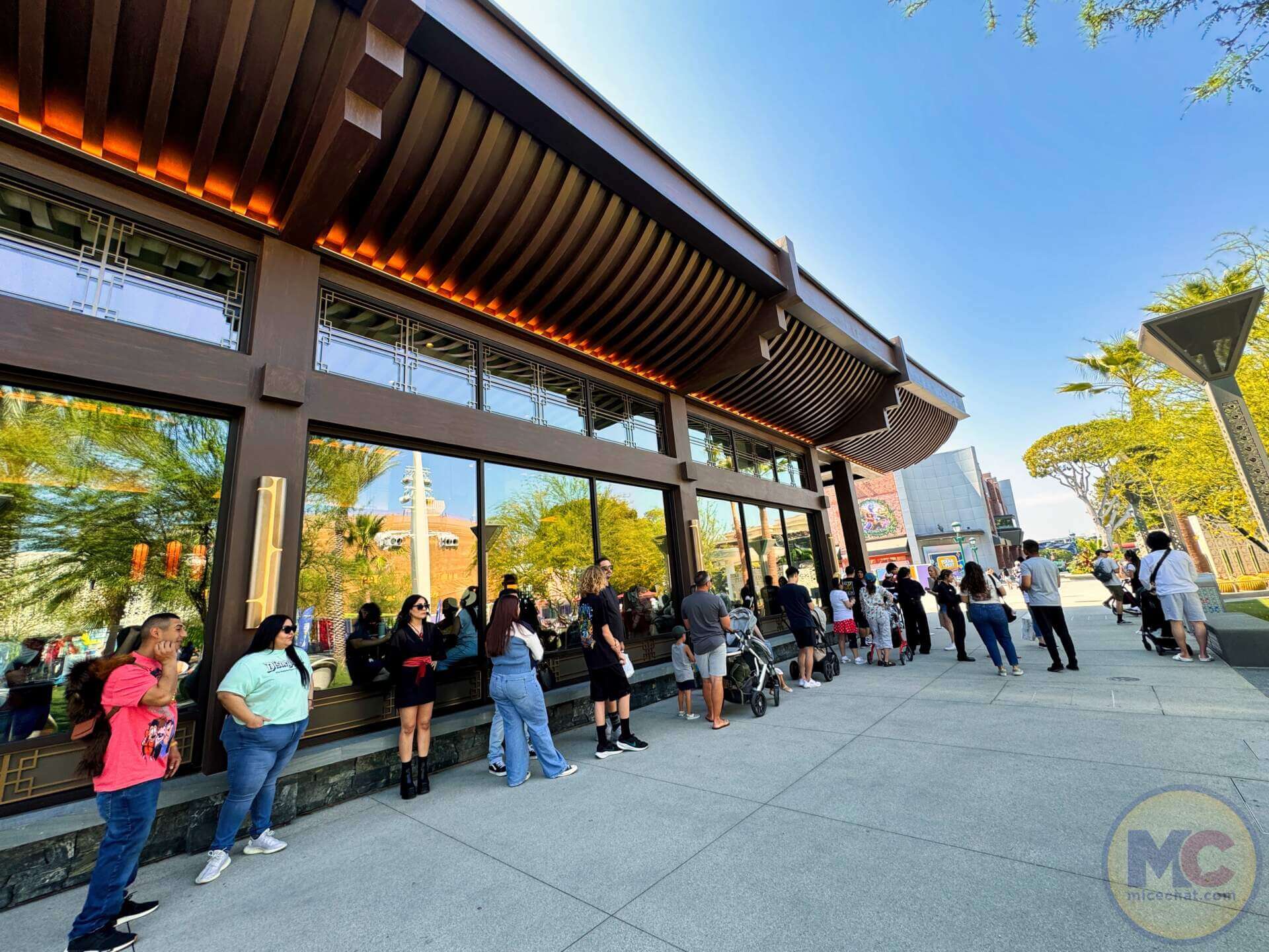 , DISNEYLAND UPDATE – Send Us A Message From Regions Beyond!