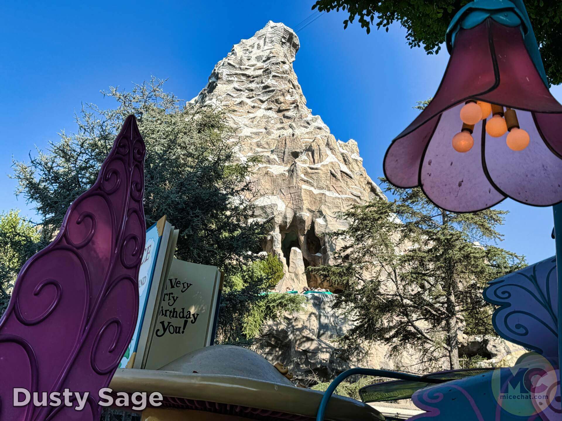 , DISNEYLAND UPDATE: Maintenance Boo-Hoos, Strike in View, Country Bear Barbecue