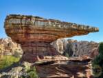 Disneyland-News-beauty cars land ridge- MiceChat