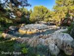 Disneyland-News-beauty grizzly- MiceChat