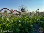 Disneyland-News-beauty paradise lagoon- MiceChat
