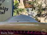Disneyland-News-blues dirty queue alice 2- MiceChat