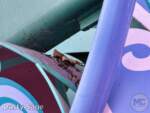 Disneyland-News-blues dirty queue alice 5- MiceChat