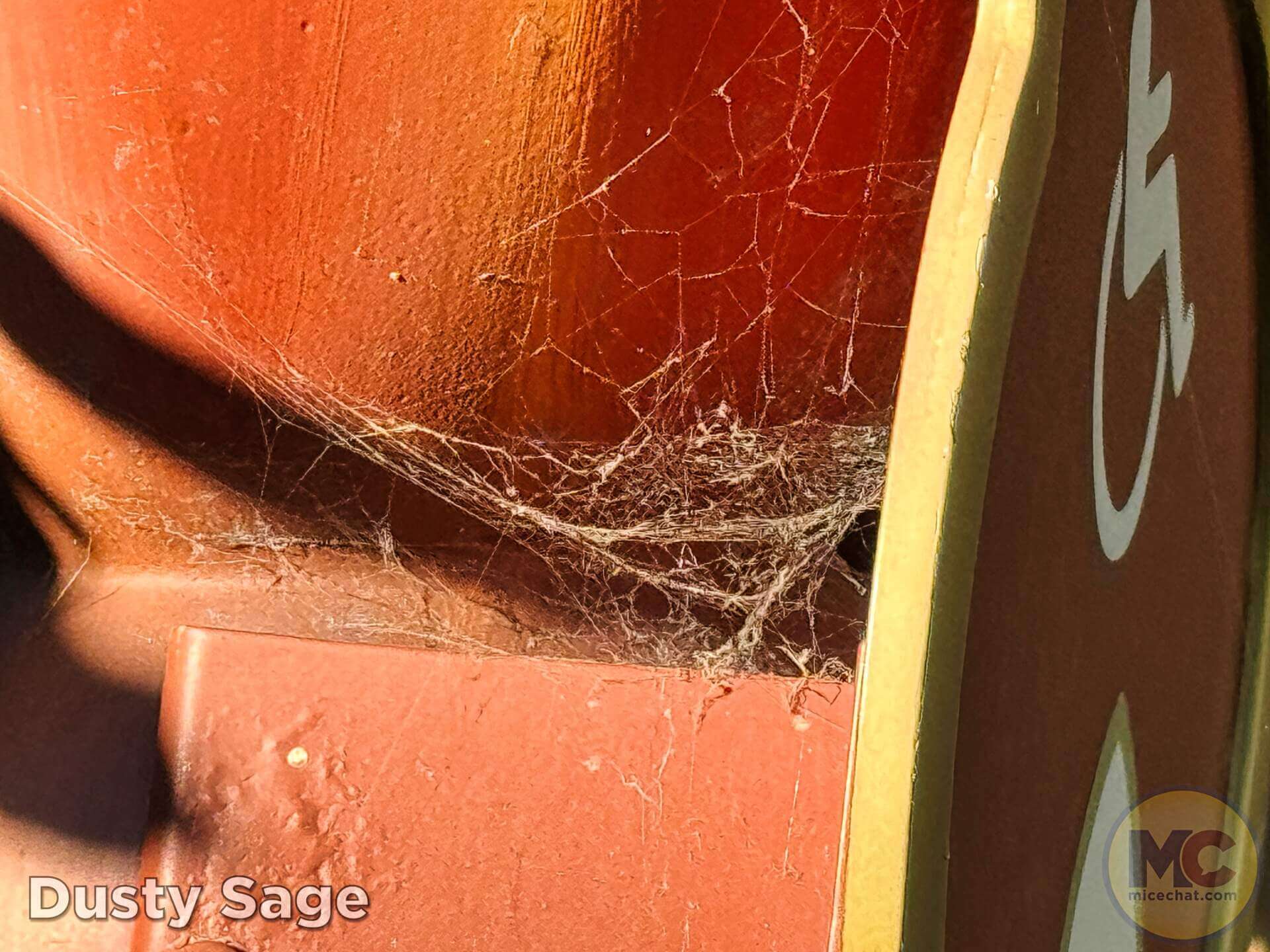 , DISNEYLAND UPDATE: Maintenance Boo-Hoos, Strike in View, Country Bear Barbecue