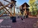 Disneyland-News-redwood creek tire swings- MiceChat