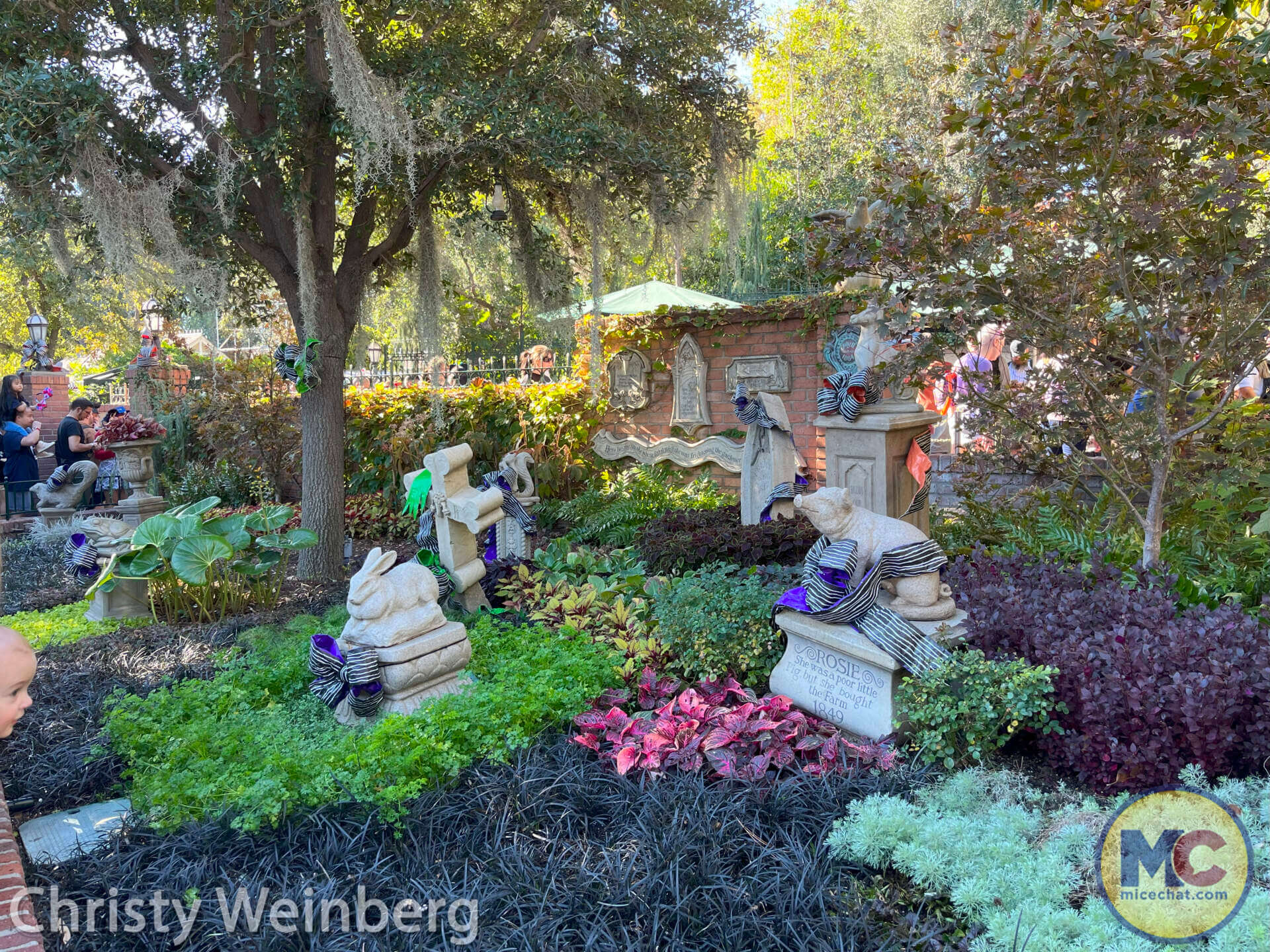 Haunted Mansion, UPDATED! Haunted Mansion Reopens With Surprises & Virtual Queue
