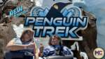 New Penguin Trek Coaster SeaWorld Orlando