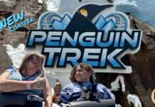 Join the Expedition on SeaWorld Orlando’s New Penguin Trek Coaster