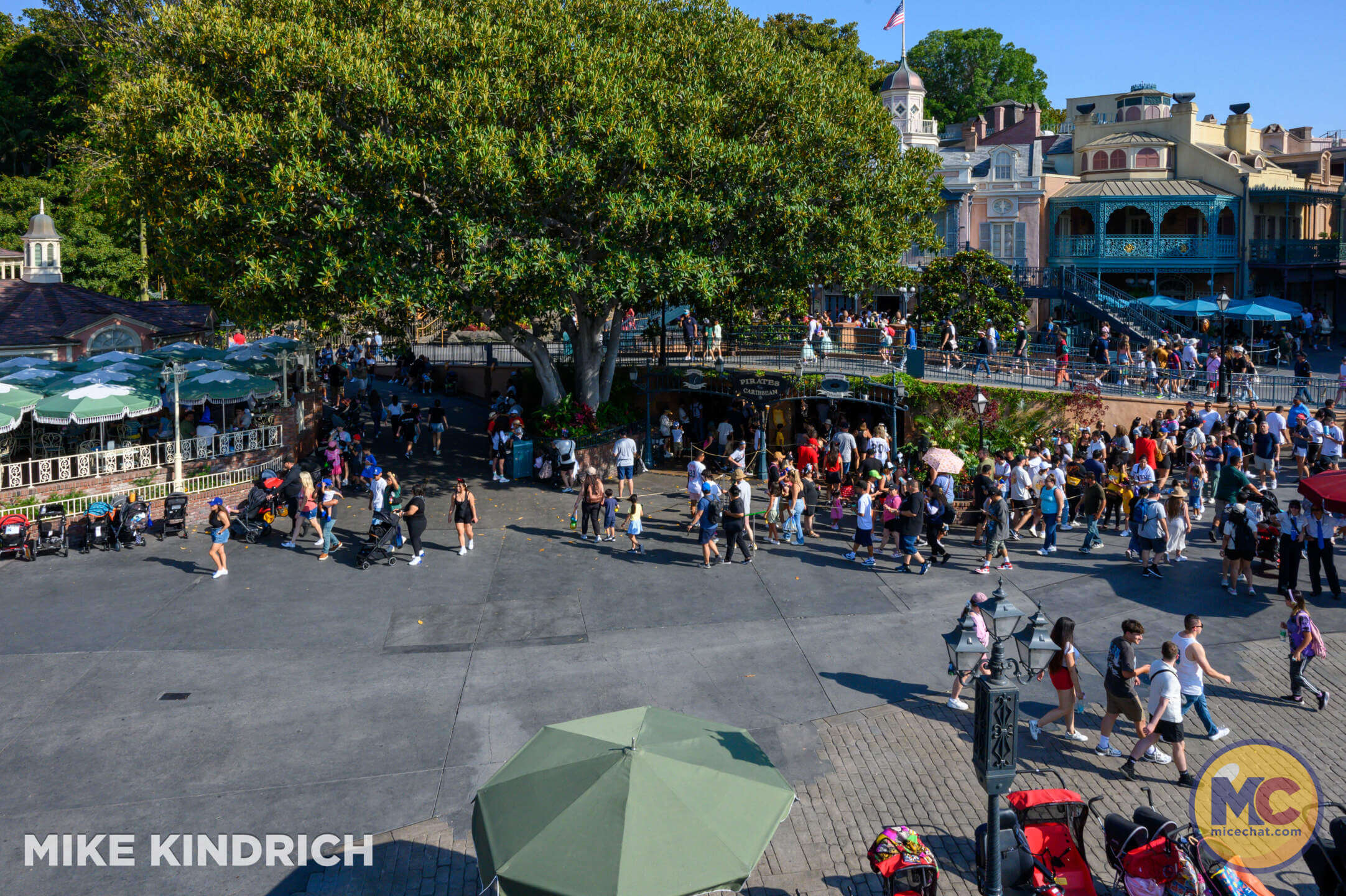 , DISNEYLAND UPDATE – Send Us A Message From Regions Beyond!