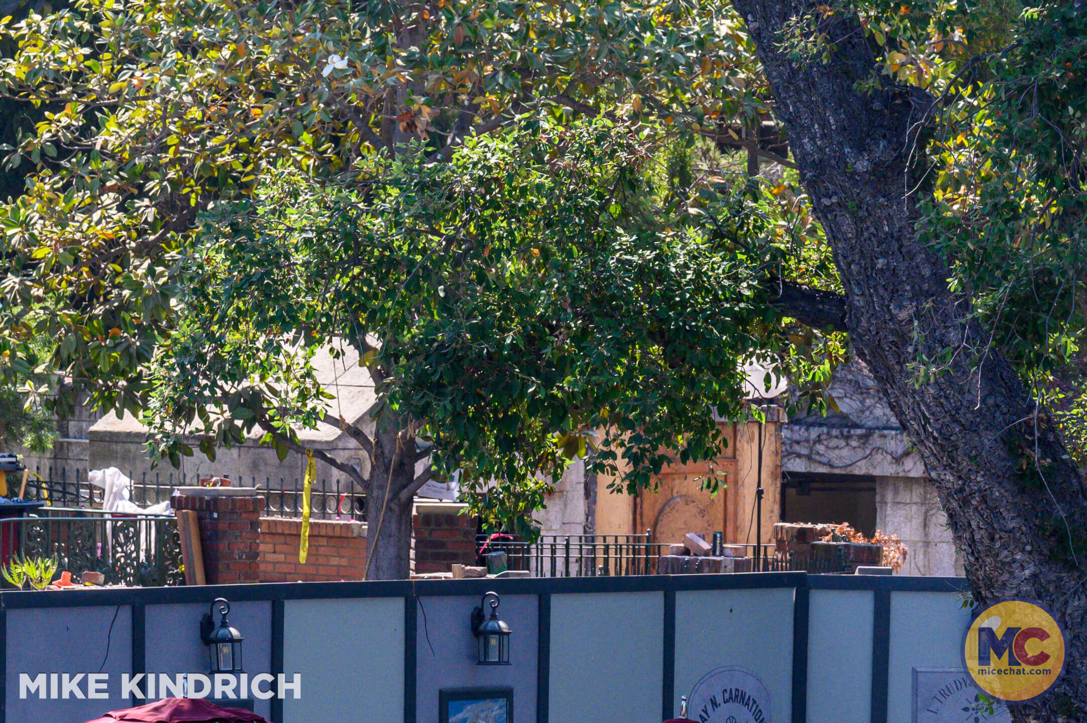 , DISNEYLAND UPDATE – Send Us A Message From Regions Beyond!