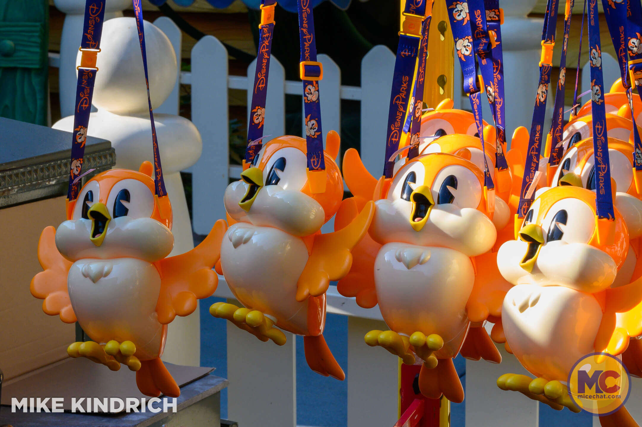 , DISNEYLAND UPDATE – Send Us A Message From Regions Beyond!
