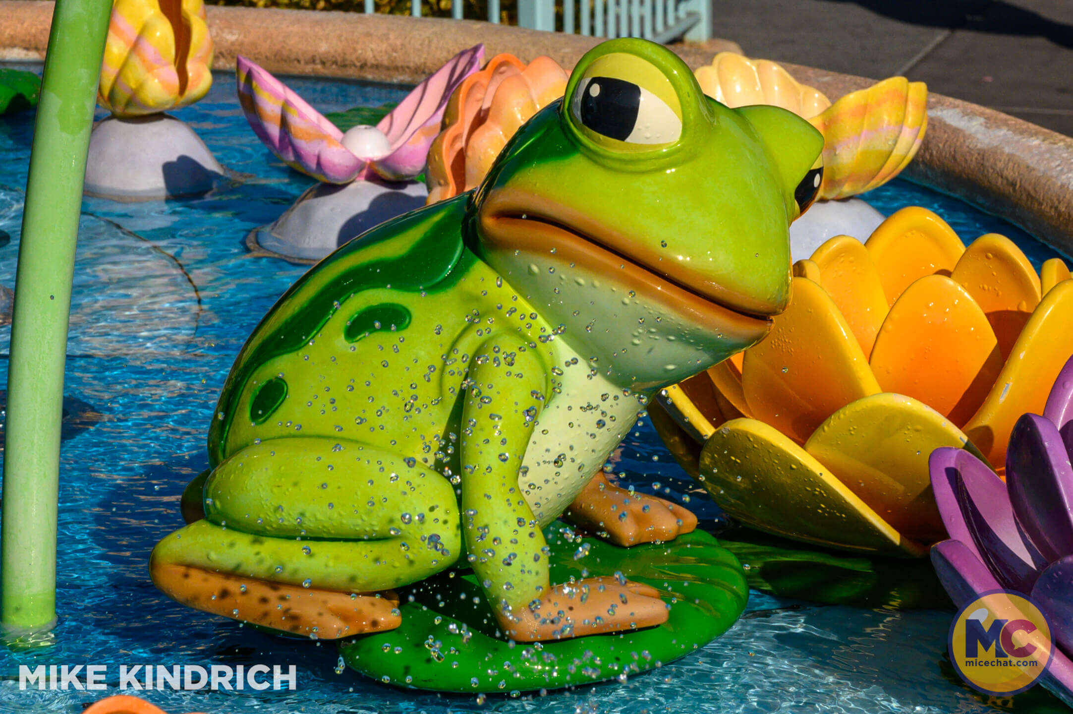 , DISNEYLAND UPDATE: Crowd Crush, Festival Feasts & Disneyland Delays
