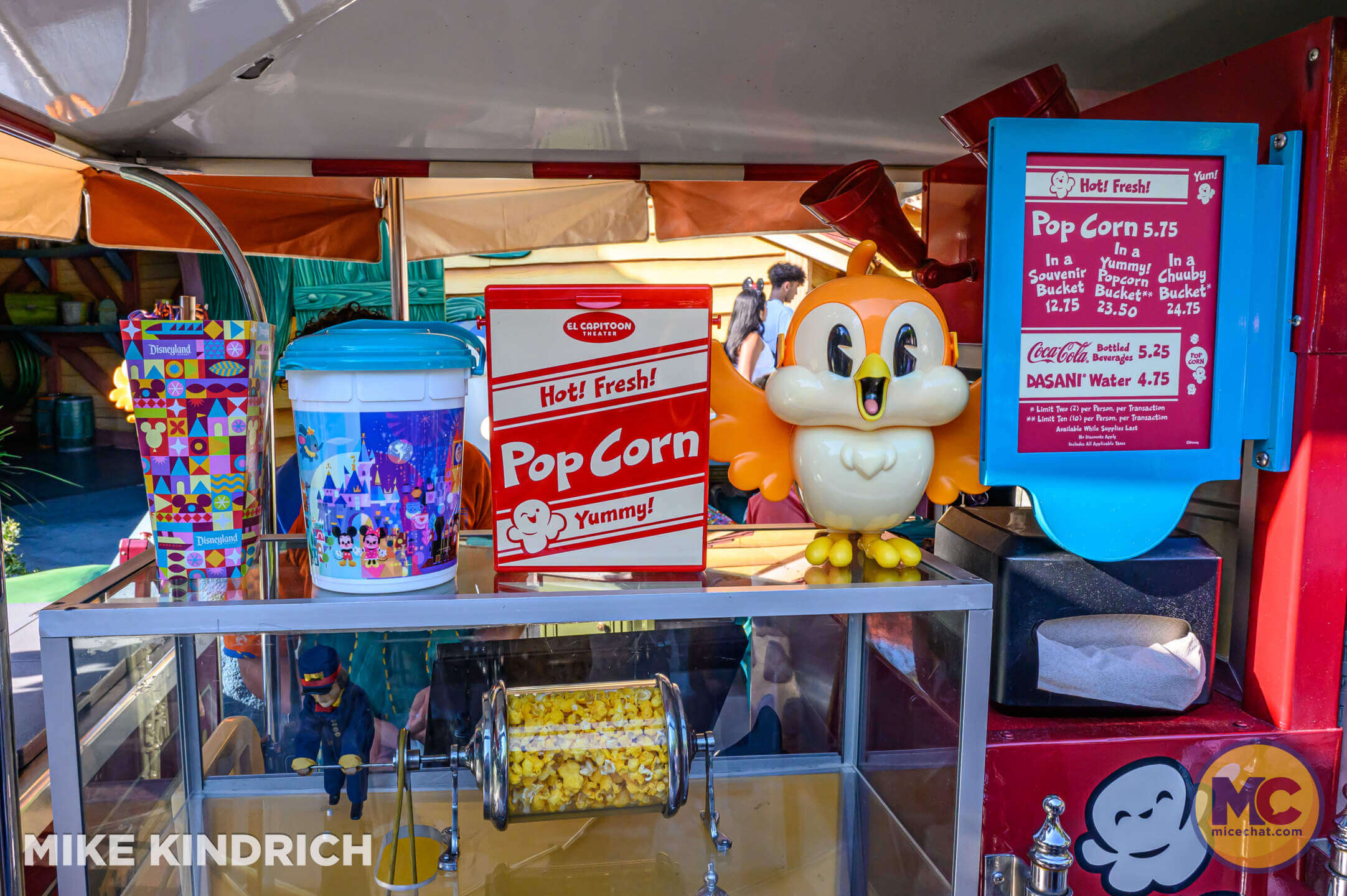 , DISNEYLAND UPDATE – Send Us A Message From Regions Beyond!
