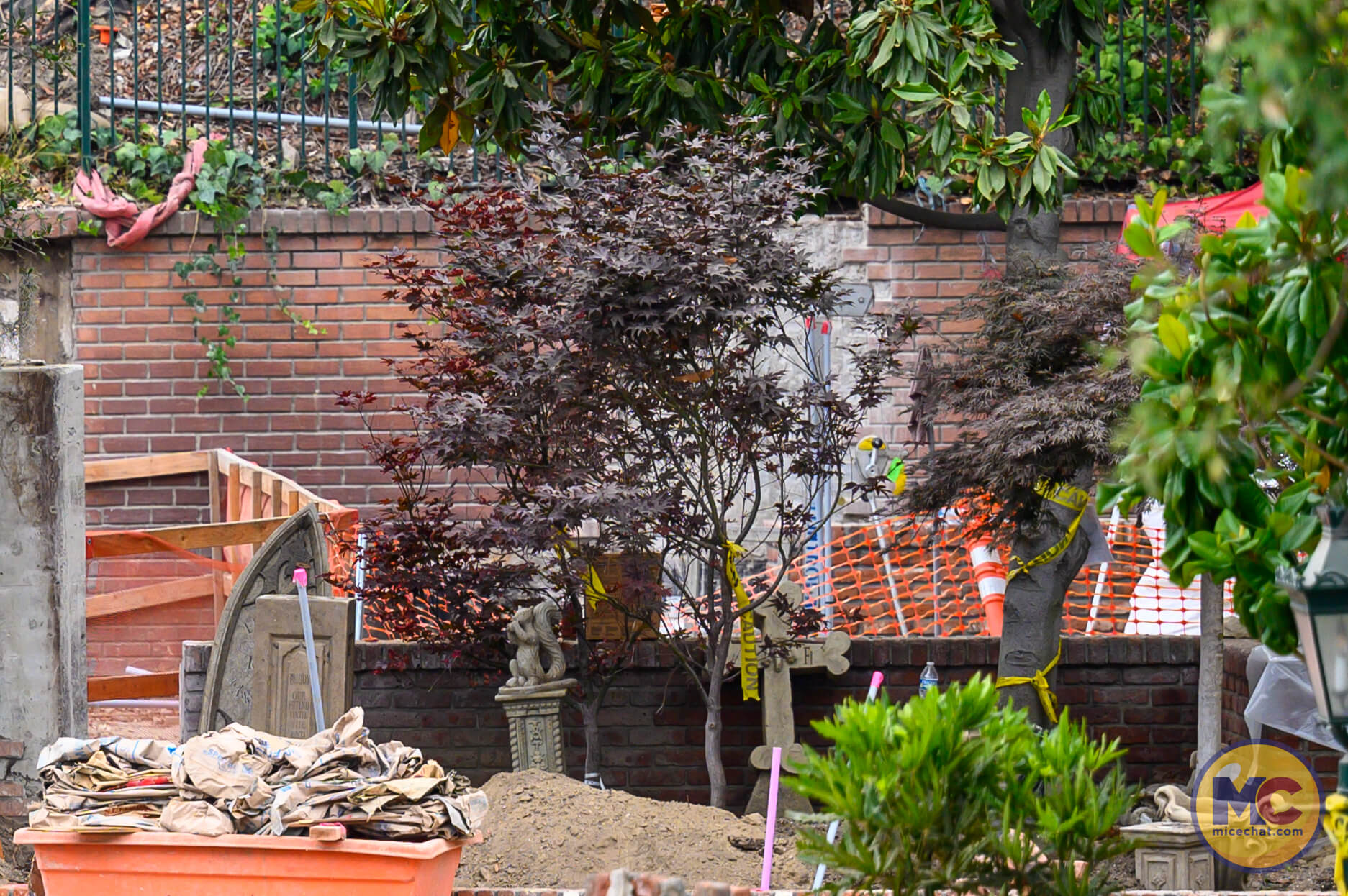 , DISNEYLAND UPDATE: Maintenance Boo-Hoos, Strike in View, Country Bear Barbecue