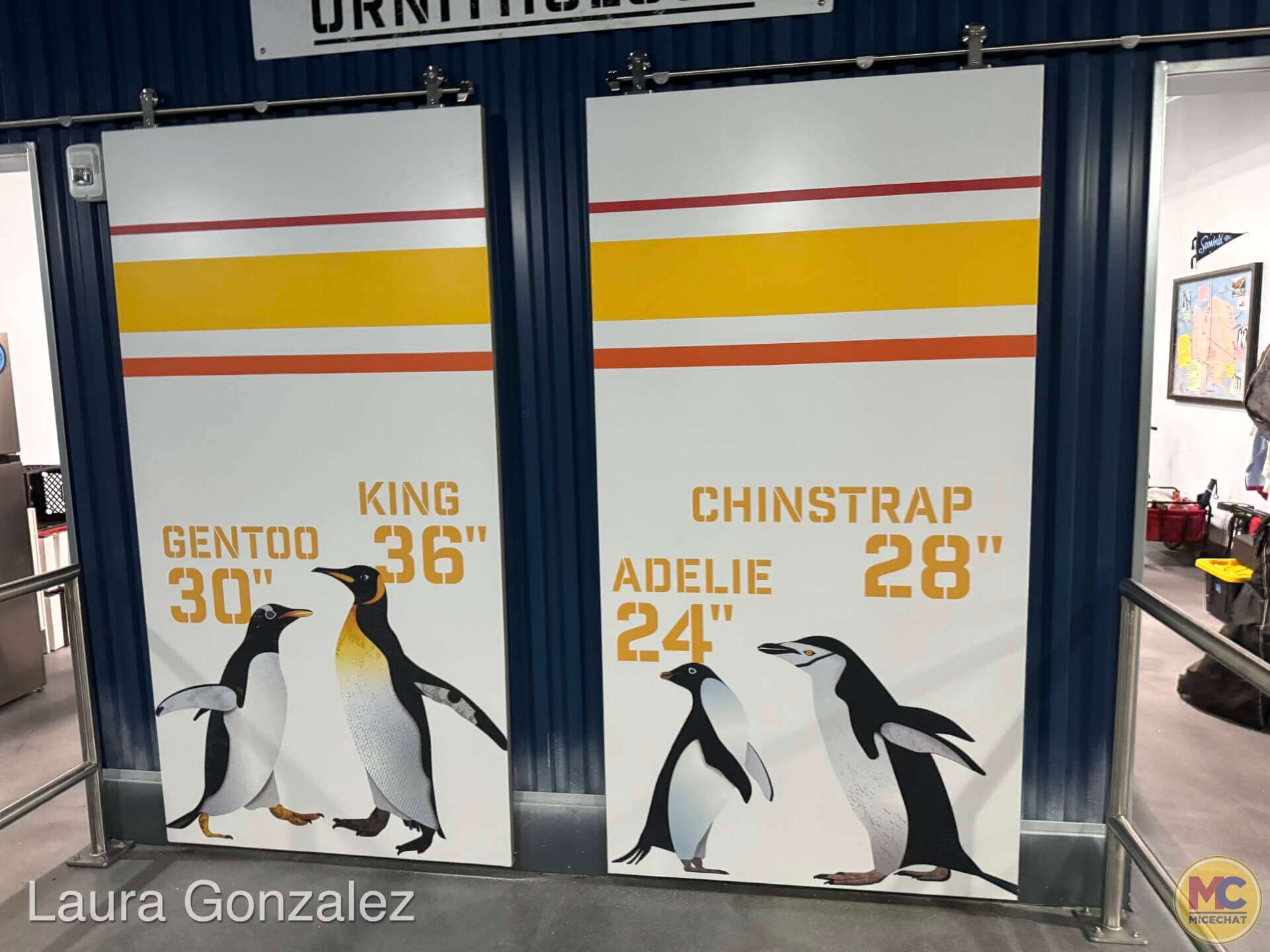 Penguin Trek, Join the Expedition on SeaWorld Orlando’s New Penguin Trek Coaster