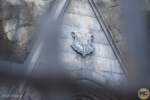 Universal Studios Hollywood Update_Back to Hogwarts_Castle Sheild