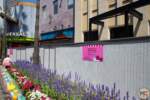 Universal Studios Hollywood Update_City Walk Update_Hello Kitty Cafe Wall