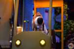 Universal Studios Hollywood Update_Pets_Crane