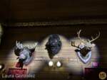 Walt-Disney-World-WDW-Country-Bears-Musical-Jamboree-Melvin-Buff-Max-1