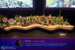 D23 2024 Showfloor Disney Experiences Imagineering Behind the Dreams Pavilion Tokyo Disney Sea Fantasy Springs model DSC_0209-Enhanced-NR-X5