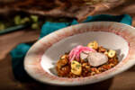 DCL_Destiny_PrideLands_Dish1