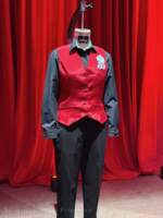Disney Destiny – De Vil’s cast costume