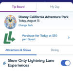 Disneyland Lightning Lane Tip Board